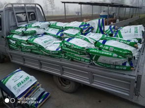 非瘟時代，裝卸品質 守護養殖安全的堅實防線